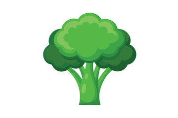 Broccoli vector illustration isolated in white background