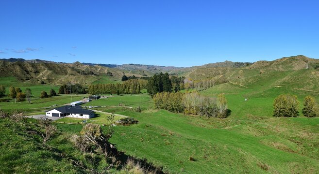 Large farm of Strathmore, New Zeland