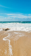 Tropical Beach with gentle rolling waves and a rock in Honolulu Hawaii
