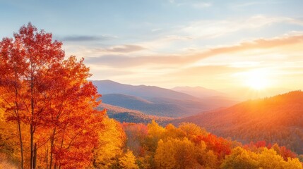 Fototapeta premium A scenic overlook with a valley below, bathed in the golden hues of fall, with trees in vibrant reds, oranges, and yellows
