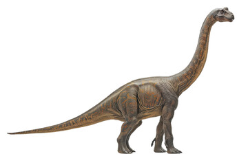 Brachiosaurus in a majestic pose with head held high