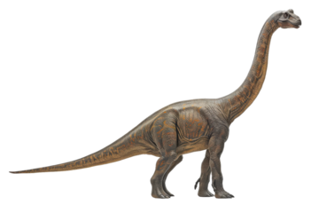 Brachiosaurus in a majestic pose with head held high