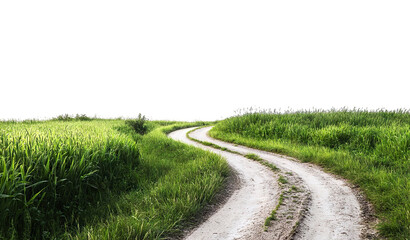 Countryside road in lush grassy landscape, cut out