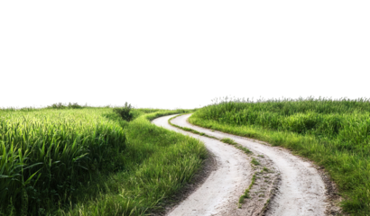 Countryside road in lush grassy landscape, cut out