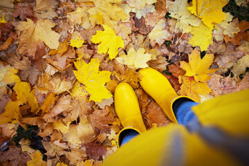 bright autumn. girl in yellow rubber boots walking