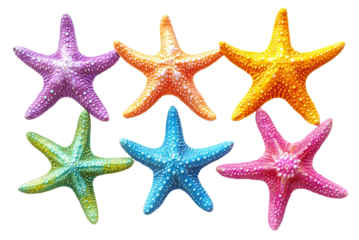 Six vibrant starfish in various colors, cut out