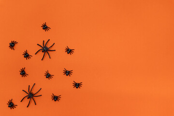 Halloween background - Black spiders on a bright orange background. Halloween atmosphere.