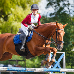 Young equestrian girl jumping over a hurdle on a sorrel horse in a sunny outdoor arena during a...