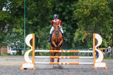 Equestrian rider jumps over an obstacle during a competition in a lush outdoor arena