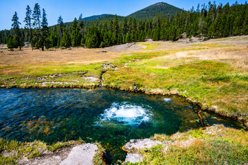 Yellowstone National Park Terrace Springs while hiking the trail in summer of 2024