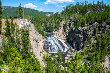 Yellowstone National Park Gibbon Waterfall Overlook in summer of 2024