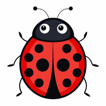 recommend clip art: illustration of a ladybug