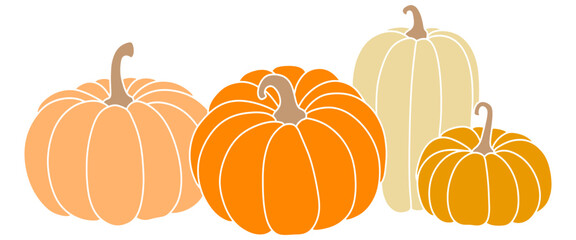 Pumpkin with leaves vector illustration