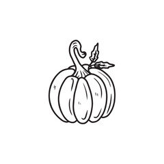 Minimalist line drawing of a pumpkin with a stem and leaf in black isolated on white background. Hand drawn vector sketch illustration in doodle engraved vintage line art style. Halloween decoration.