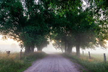 Piękne  letnie krajobrazy z Doliny Narwi, Podlasie, Polska © podlaski49