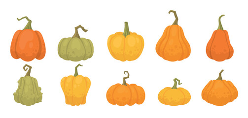 Cartoon pumpkins, halloween squash, fall harvest gourds. Pumpkins, squash and leaves vector symbols illustrations. Autumn thanksgiving and halloween pumpkins collection