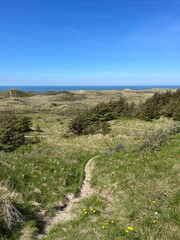 path to the coast