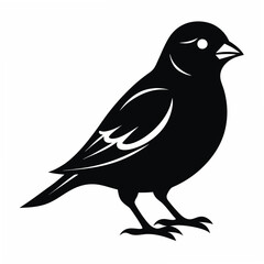 Sparrow Black silhouette
