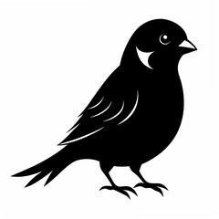 Sparrow Black silhouette