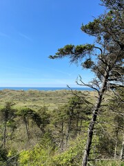 view of the coast of the sea