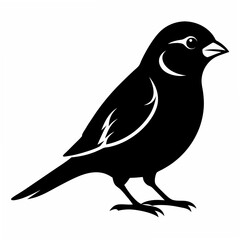 Sparrow Black silhouette