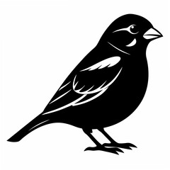 Sparrow Black silhouette