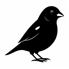 Sparrow Black silhouette