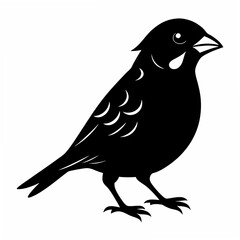 Sparrow Black silhouette