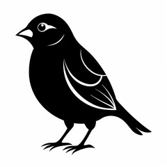 Sparrow Black silhouette