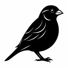 Obraz premium Sparrow Black silhouette