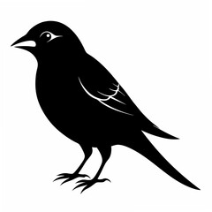 Fototapeta premium Sparrow Black silhouette