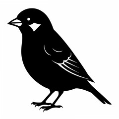 Fototapeta premium Sparrow Black silhouette