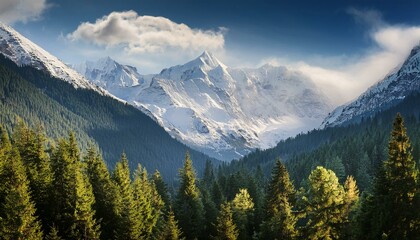 Obraz premium distant snowy mountains and a dense forest