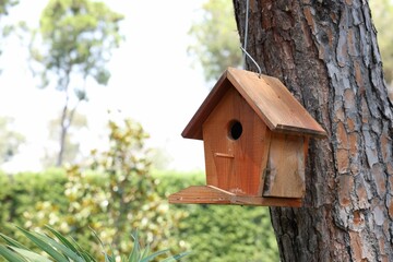 Beautiful wooden birdhouse hanging on tree trunk in park