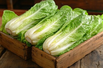 Fresh romaine lettuce is arranged neatly in wooden crates at a market