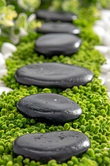 Black Stones on Green Moss