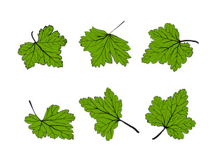 Different position Leaf combo design