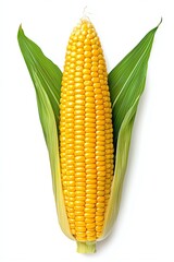 Obraz premium Fresh yellow corn on the cob, surrounded by green leaves, perfect for culinary presentations and healthy meals.