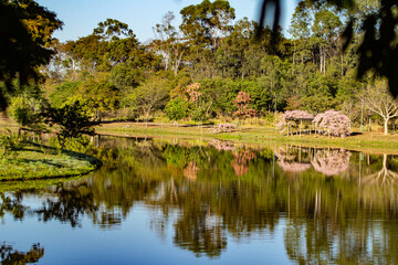 Paisagem de um parque muito arborizado, com um lago, e algumas árvores floridas. Paisagam refletida na água do lago.