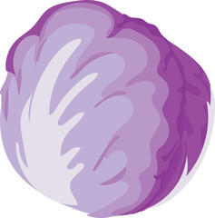 Cartoon red cabbage illustration on transparent background.
