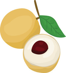 Cartoon longan illustration on transparent background.
