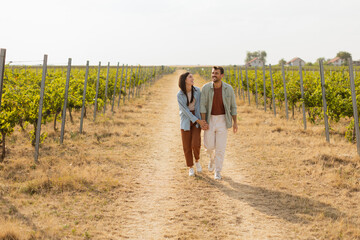 Fototapeta premium Couple strolls hand in hand along a sunlit path amidst lush vineyards during a warm afternoon