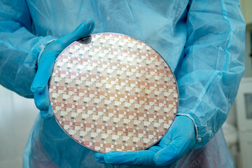 Silicon wafer for manufacturing semiconductor of integrated circuit.