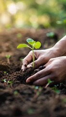 Hands Planting Seedling in Nutrient-Rich Soil, Symbolizing Environmental Restoration and Hope
