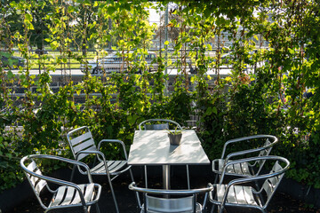 Cozy outdoor seating area with garden furniture surrounded by lush green ivy on a sunny day. Concept of urban nature and green spaces in the life of a modern city. High quality photo