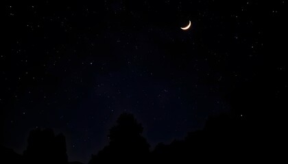 Fototapeta premium Crescent moon in a dark blue night sky with silhouetted trees in the foreground