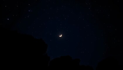 Fototapeta premium A crescent moon in a dark blue night sky, with silhouetted pine trees in the foreground