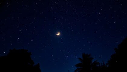 Naklejka premium A crescent moon in a dark blue night sky, with silhouetted pine trees in the foreground