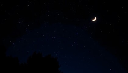 A crescent moon in a dark blue night sky, with silhouetted pine trees in the foreground