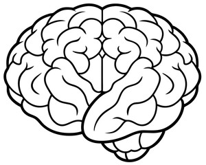 human brain line art stock illustration,brain line drwing